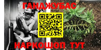 шишки Малгобек