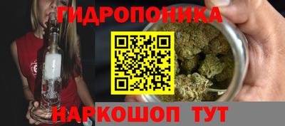 шишки Малгобек