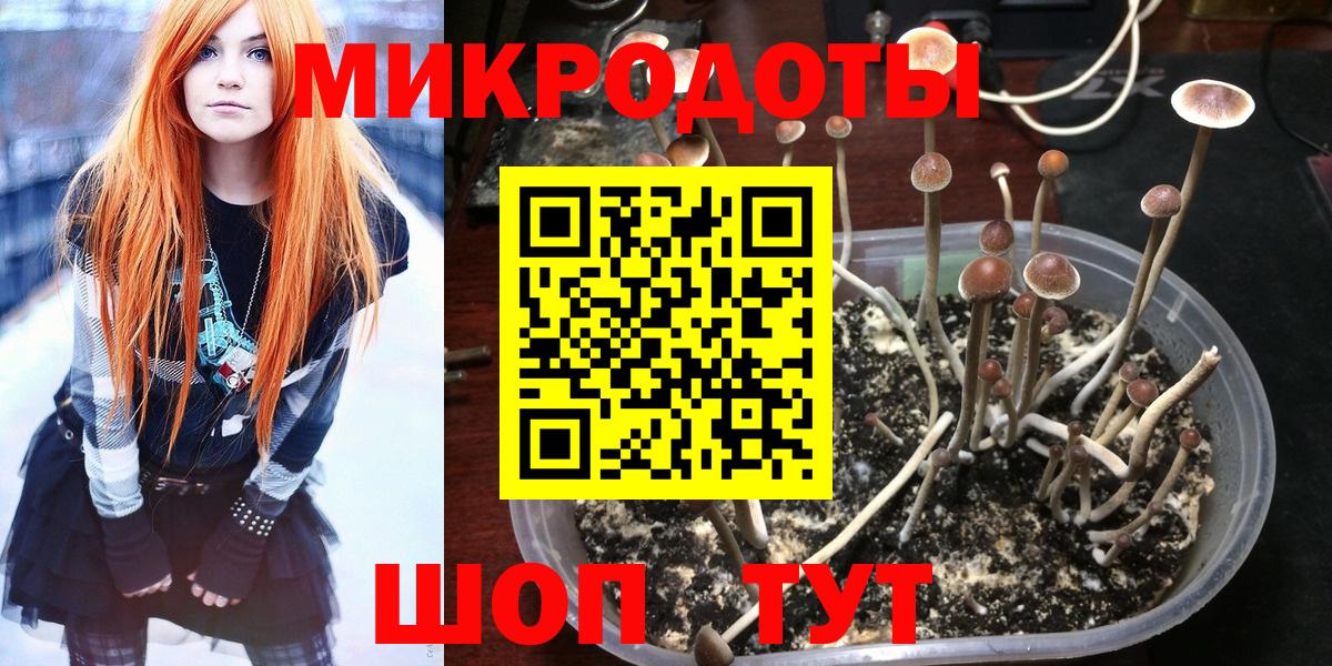 Псилоцибиновые грибы мицелий  Губаха 