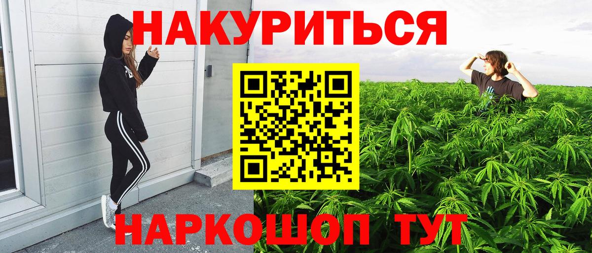 Бошки Шишки сатива Губаха